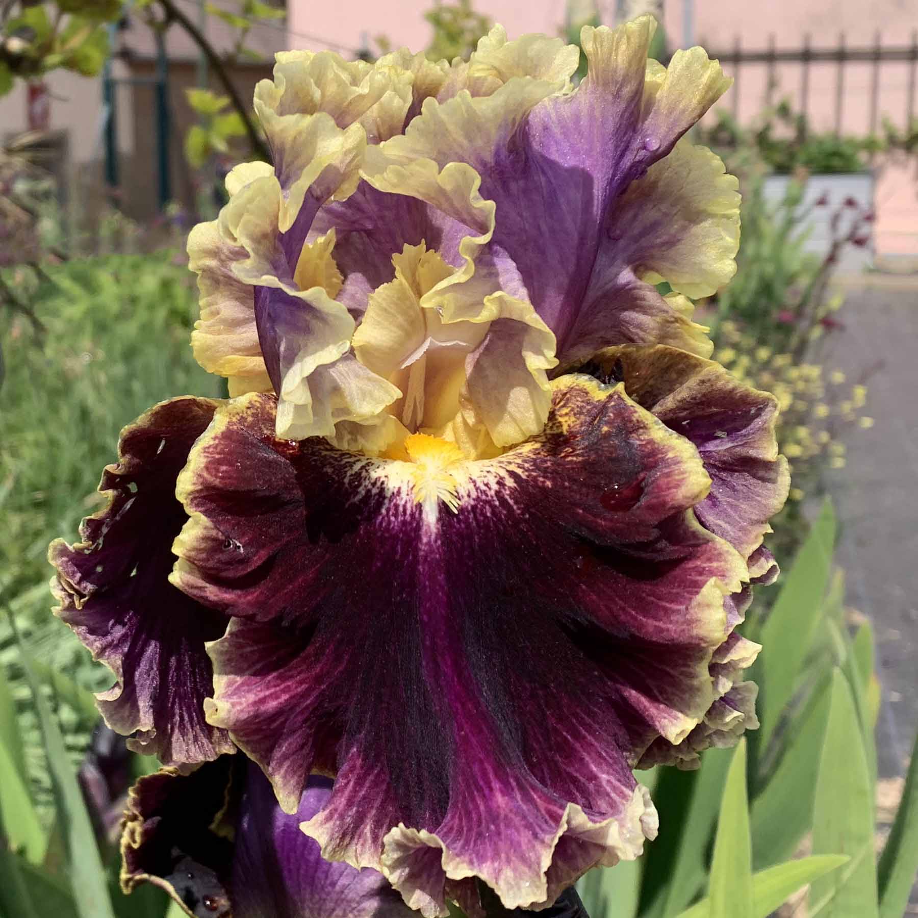 FEAST  FOR THE EYES.jpg